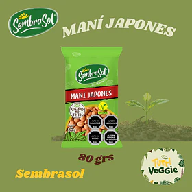 MANI JAPONES 80g