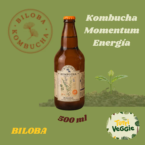 Kombucha Momentum | Energía 500ml