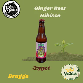Ginger Beer Hibisco 3300cc