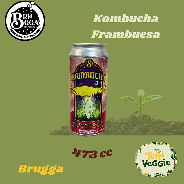 Kombucha Franbuesa 473cc