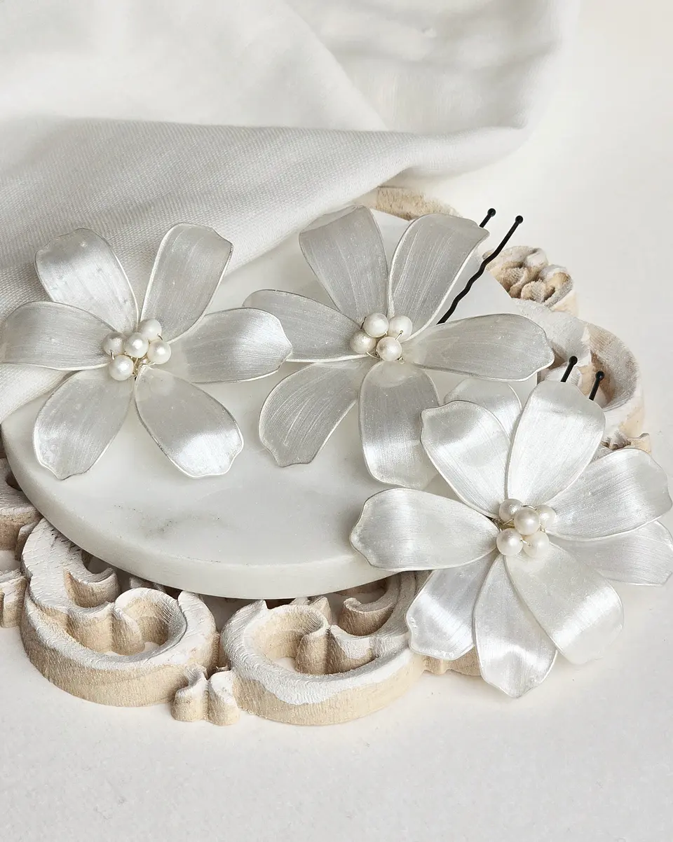 Pins de flores anacaradas 1