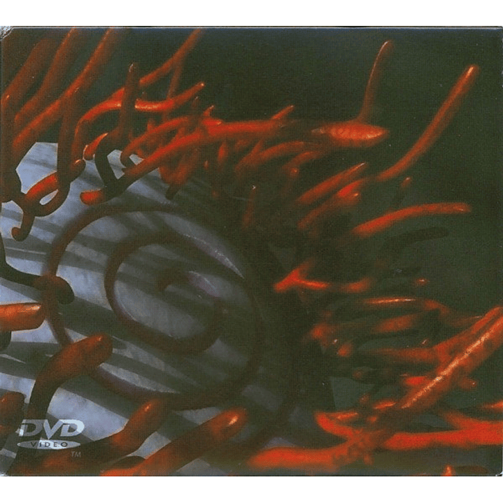 Tool – Schism dvd 1