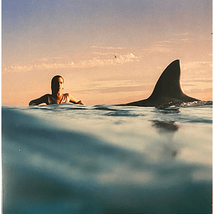 Dua Lipa – Radical Optimism