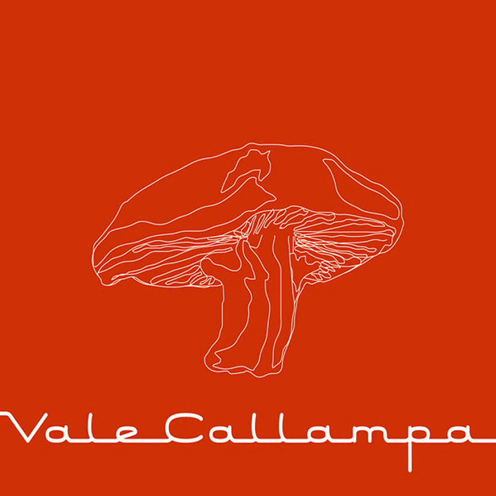 Café Tacvba – Vale Callampa 1