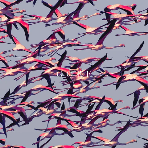 Deftones – Gore