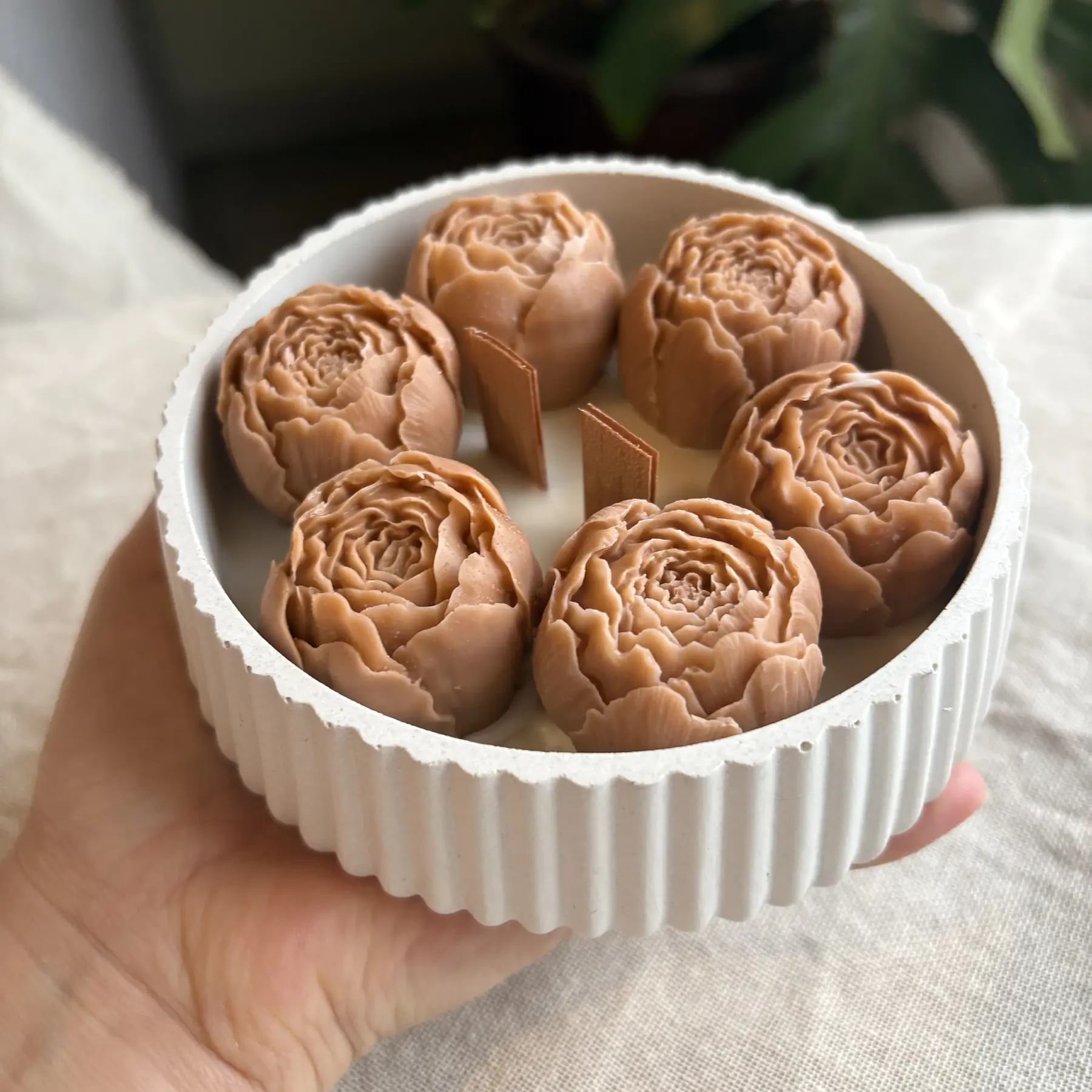 Flores Canela Coco  2