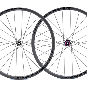 Ruedas Black Label 25 Expert F/Disco