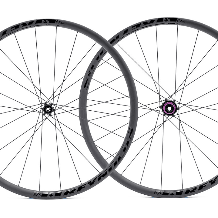 Ruedas Black Label 25 Expert F/Disco 1