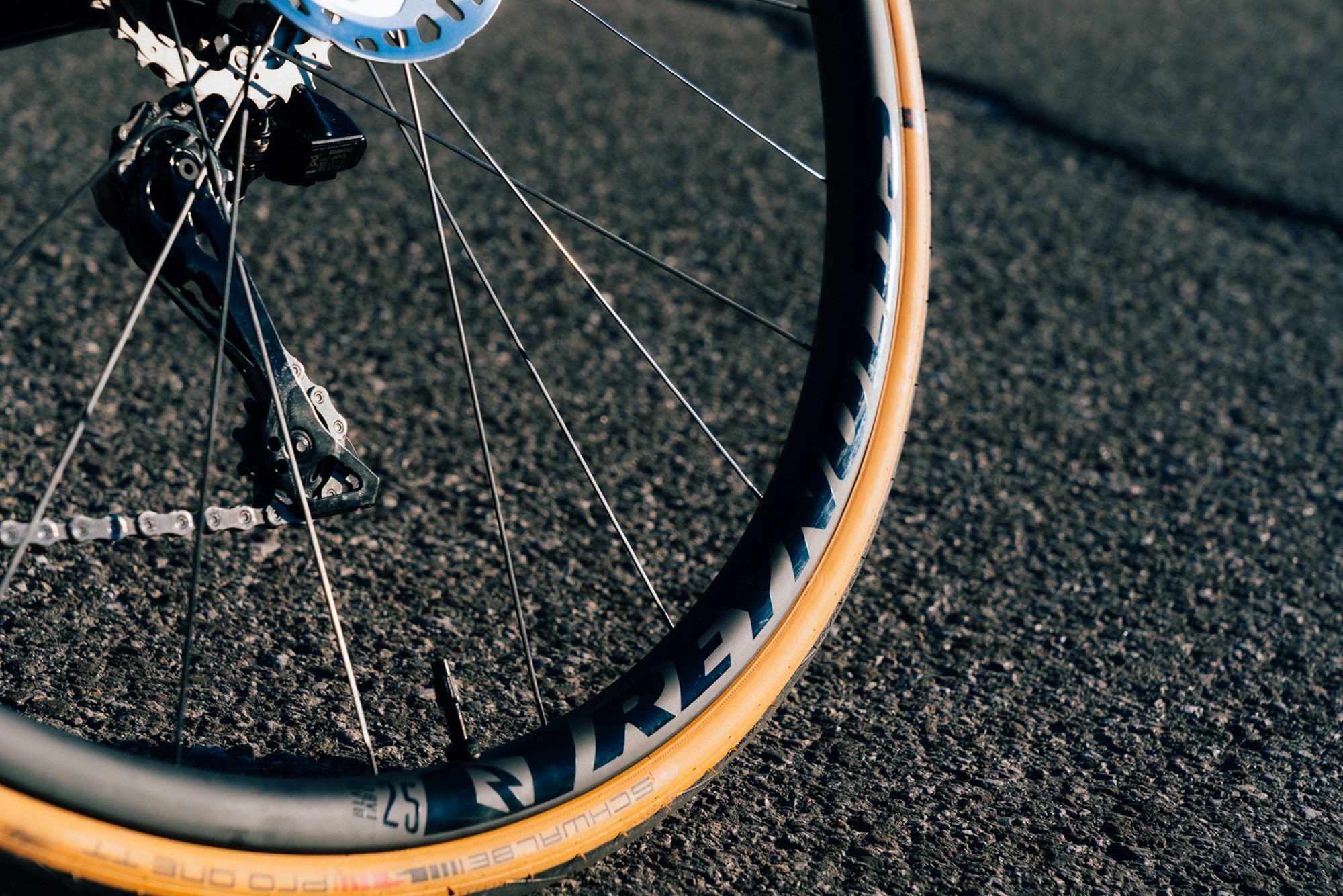 Ruedas Black Label 25 Expert F/Disco