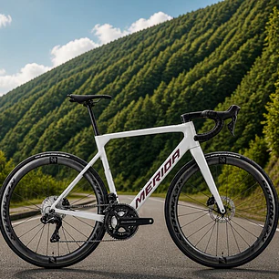 Ruedas Ruta AR 46 F/Disco