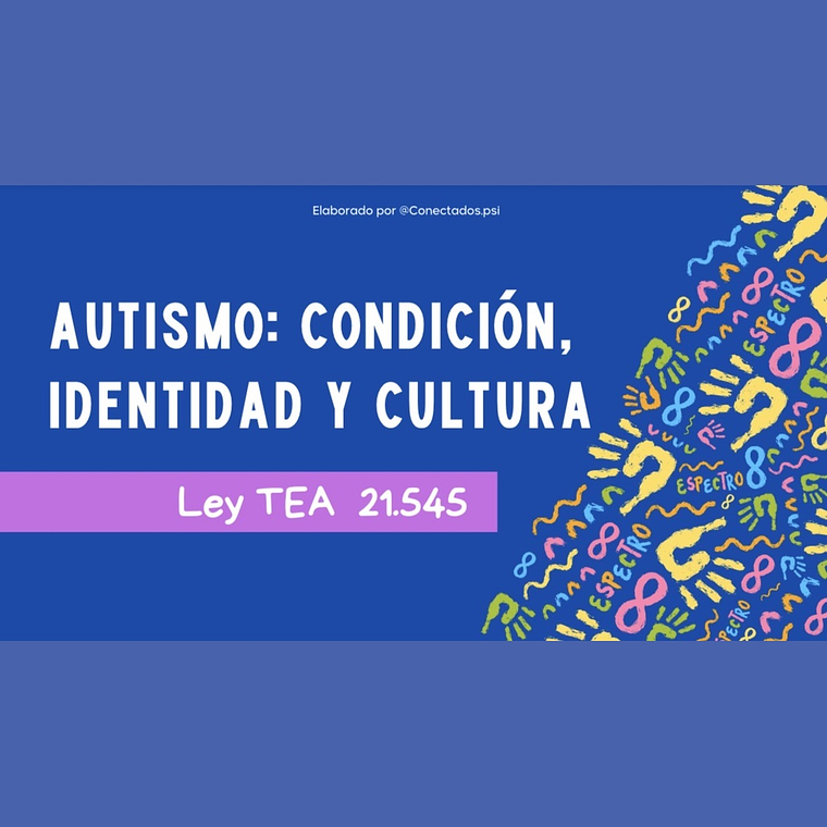 Taller Ley TEA 21.545 1