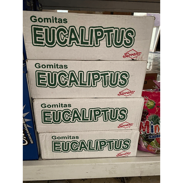 GOMITA EUCALIPTUS X 60 UN SERRANO 1