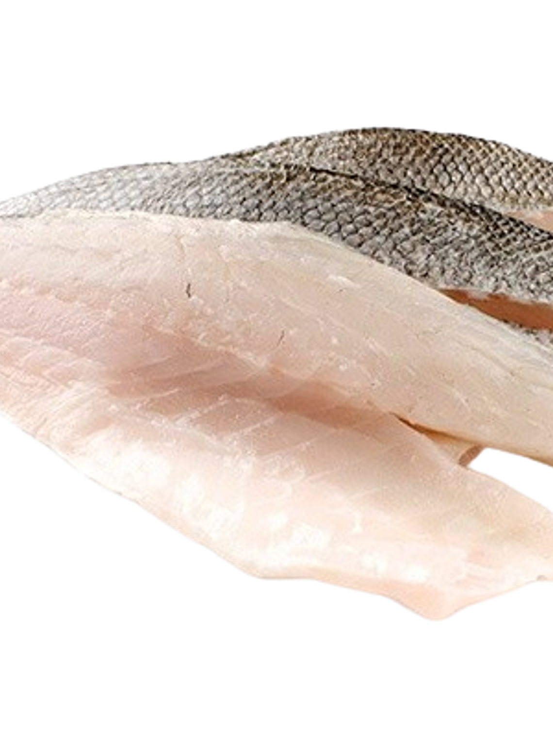 Merluza Común Filete Kilo 1