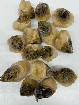 Picoroco ( 12 Unidades ) Congelados 