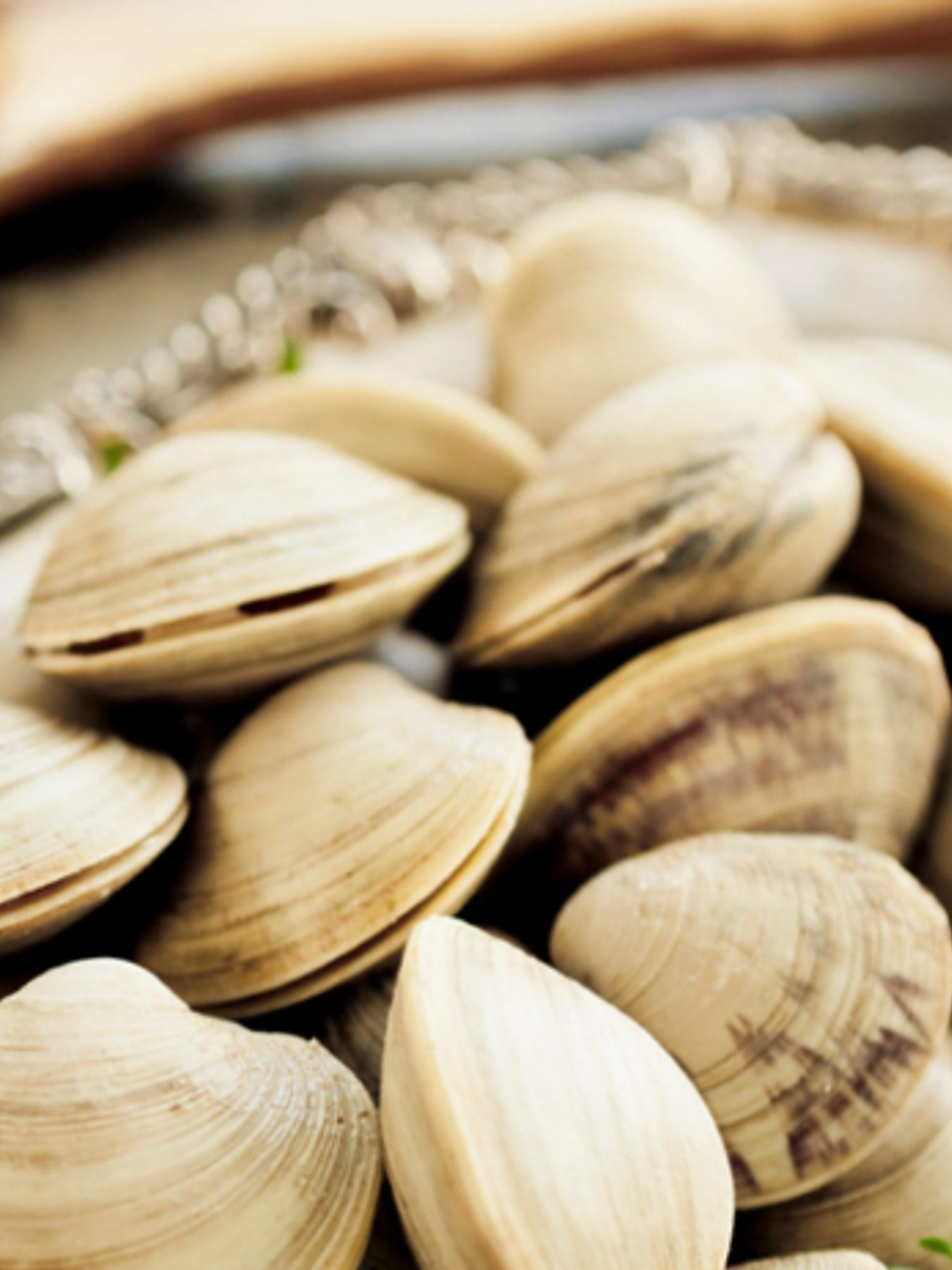 Almejas Concha Kilo 1