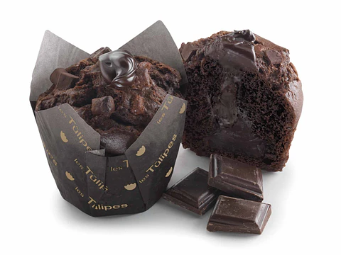 Túlipa de Chocolate Extrem