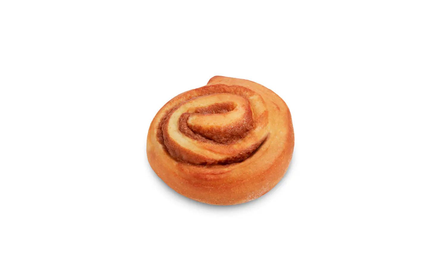 Mini Caracol de Canela 1