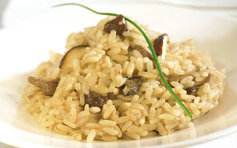 Risotto de Cogumelos