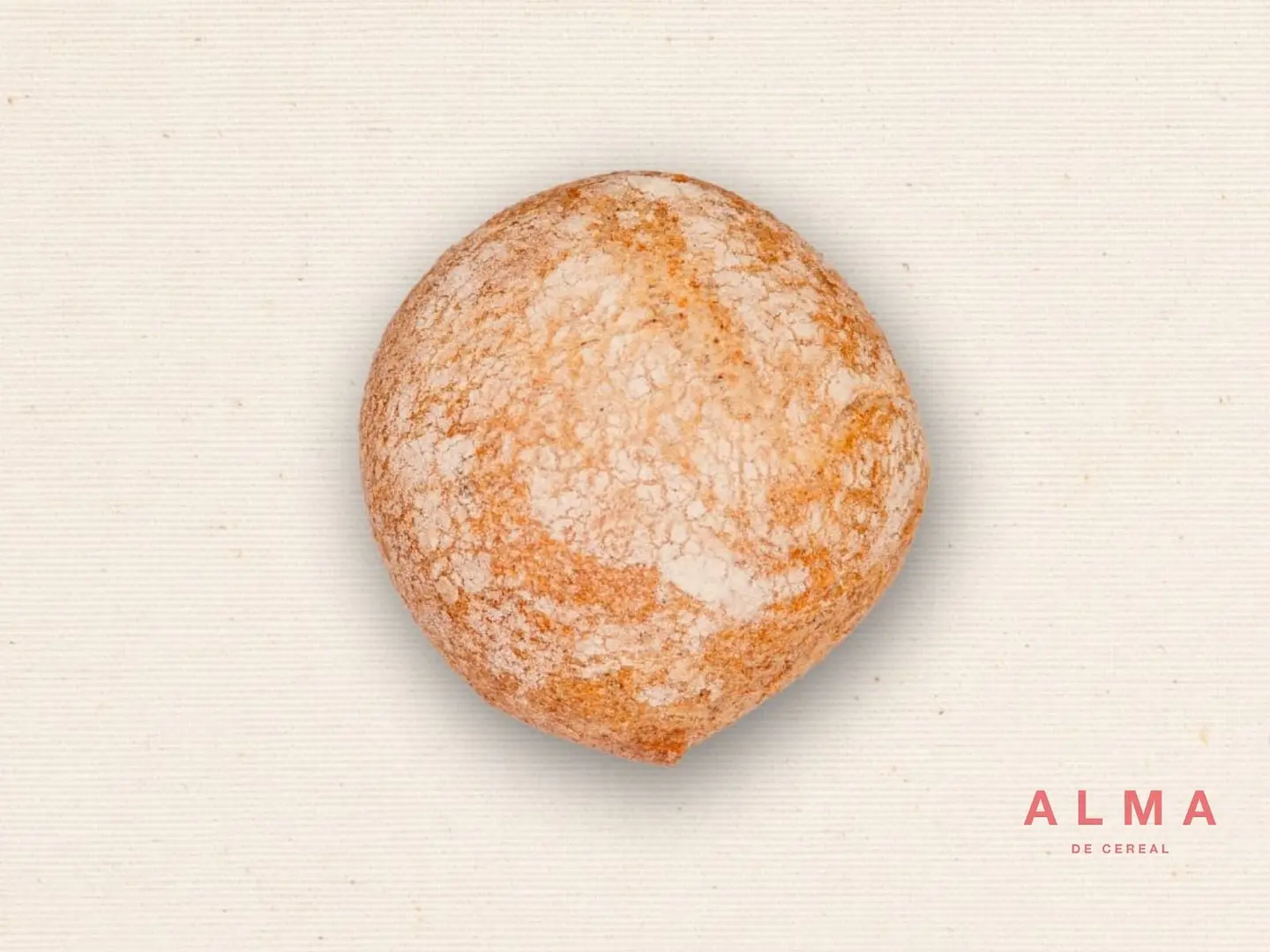 Petit pain integral (85u) 1