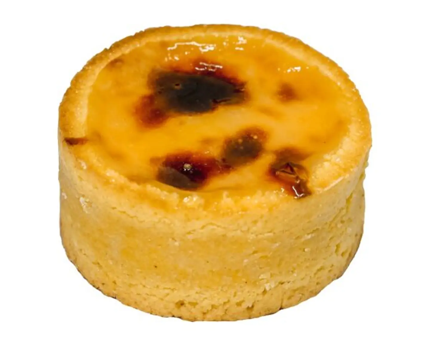 Alsacianos 1