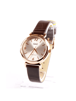 Reloj Q&Q Modelo Q27B-011PY