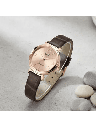 Reloj Q&Q Modelo Q27B-012PY