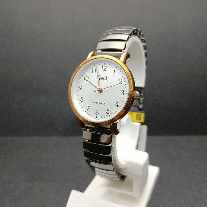 Reloj Q&Q Modelo QA21J404Y 2