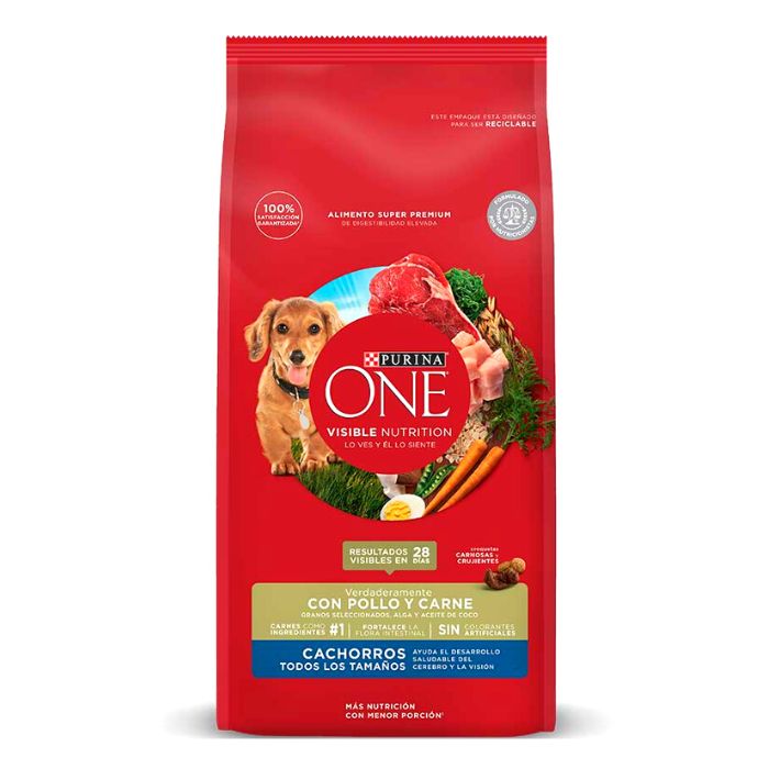 Purina One Cachorro