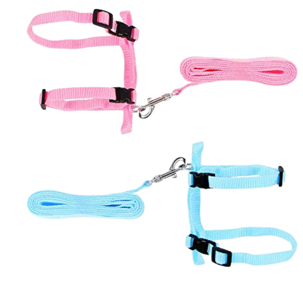 Tamaño Estándar, Colores variados
