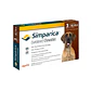 Simparica para perros 40-60 kilos - thumbnail 2
