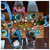 "Essence of Conserveira do Arade" Collection | 24-Can Tasting Pack