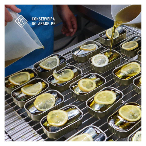 "Essence of Conserveira do Arade" Collection | 24-Can Tasting Pack