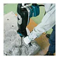 Rotomartillo Minero Makita HR5212C SDS-MAX AVT 2
