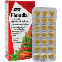 Floradix 84 comp.