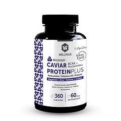 Caviar Protein Plus 360 Capsulas