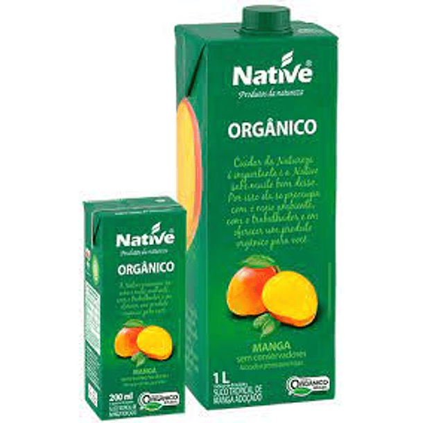 JUGO DE MANGO ORGÁNICO NATIVE 1