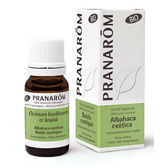 Aceite esencial de Albahaca exótica 10 ml