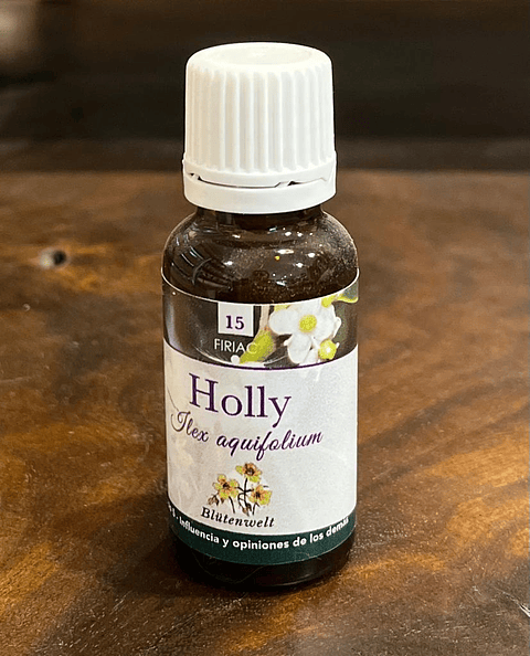 Holly