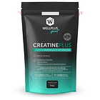 Creatine Plus 410 Gr. 1