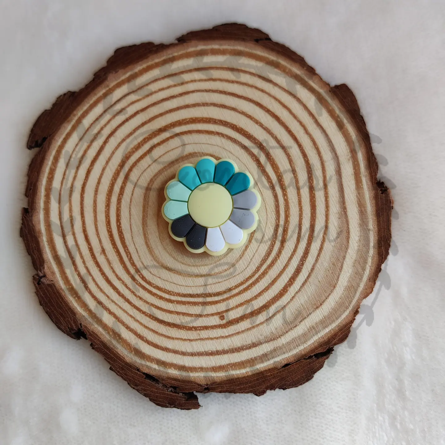 Flores Pétalas Coloridas 1