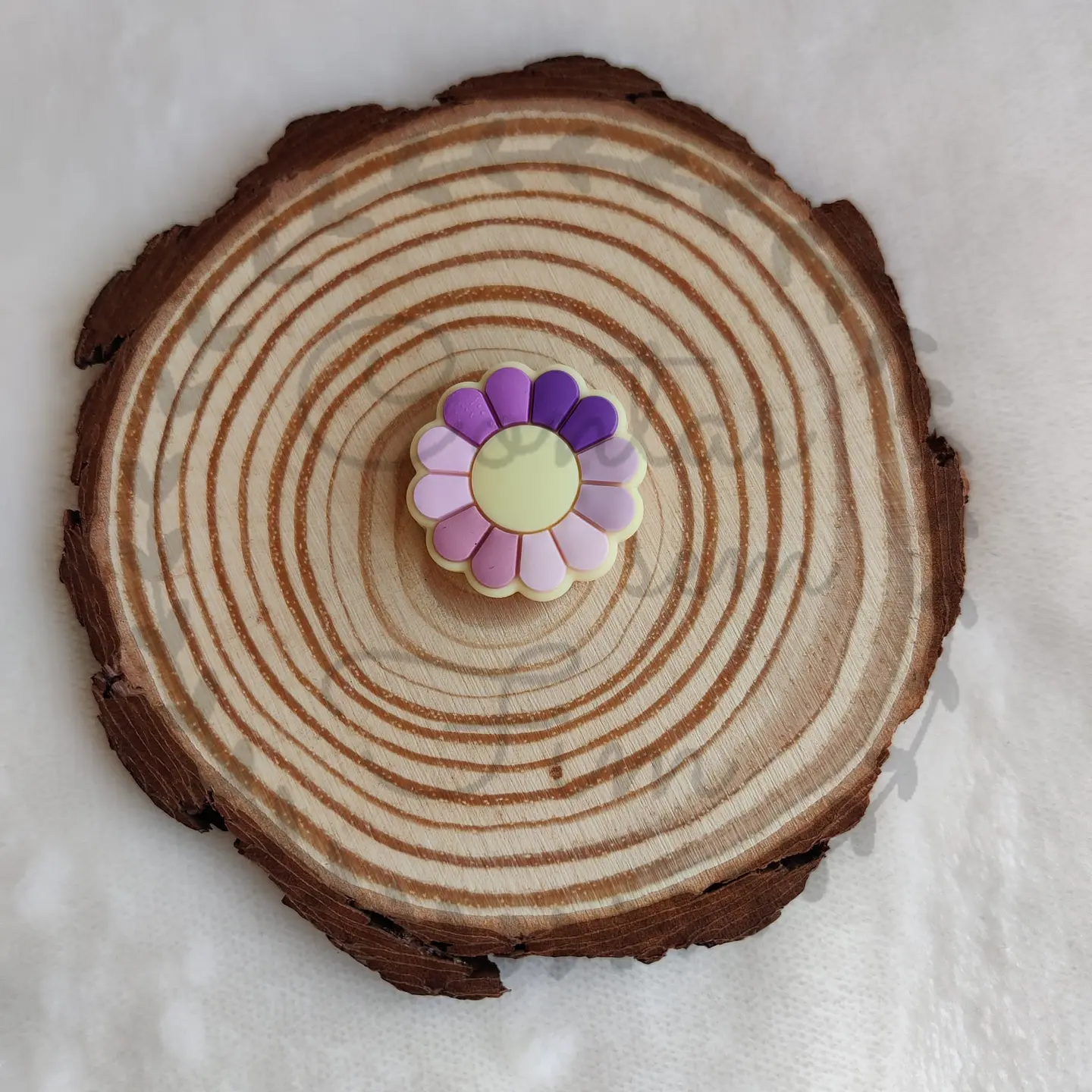 Flores Pétalas Coloridas 2