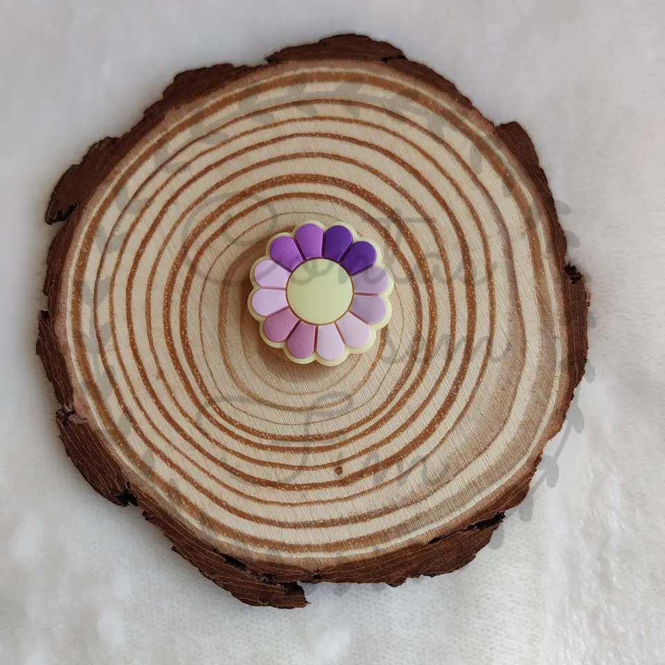 Flores Pétalas Coloridas 2