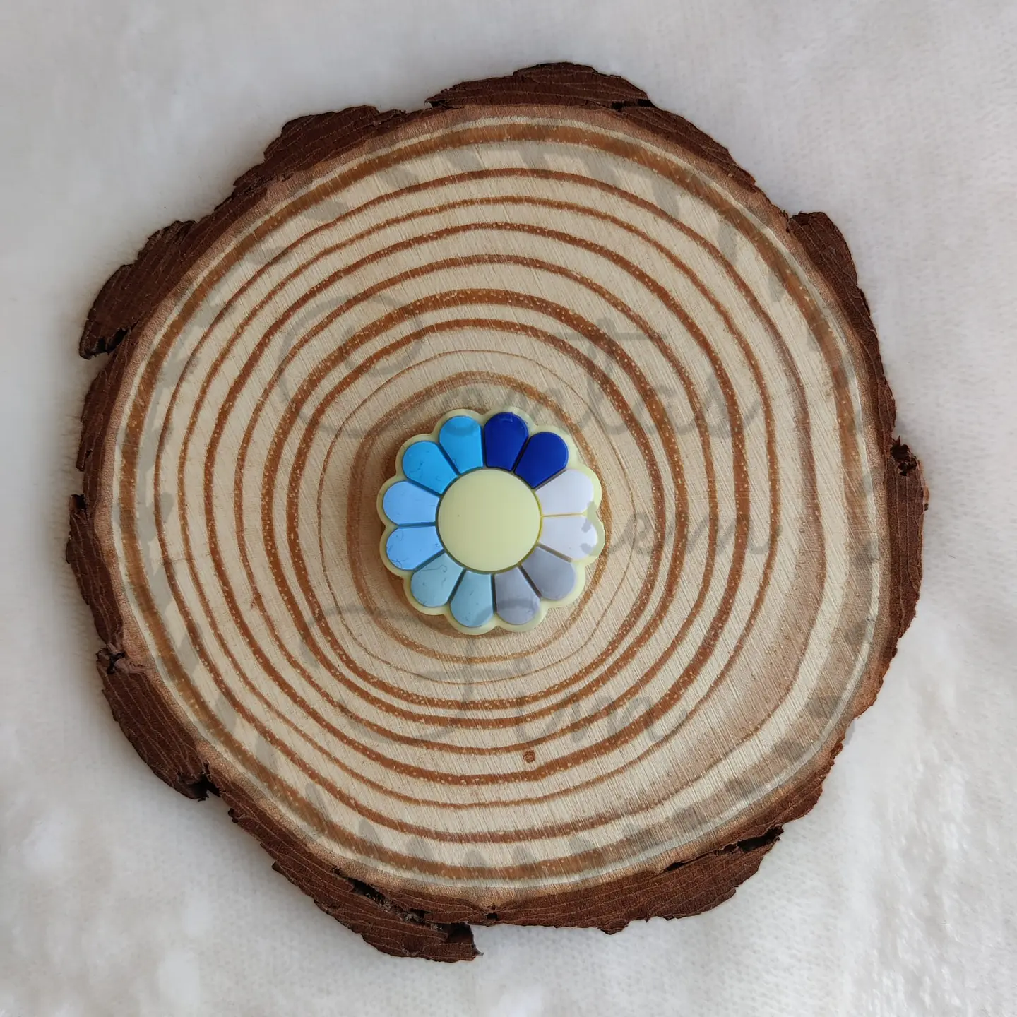 Flores Pétalas Coloridas 6