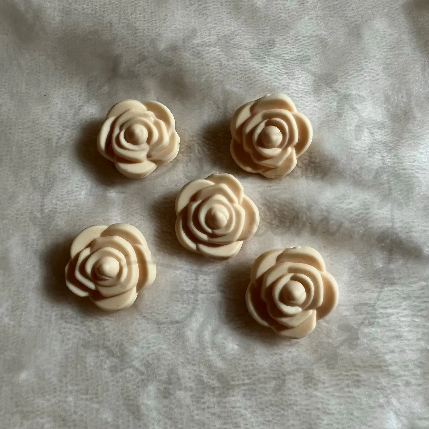 Mini Rosas 13