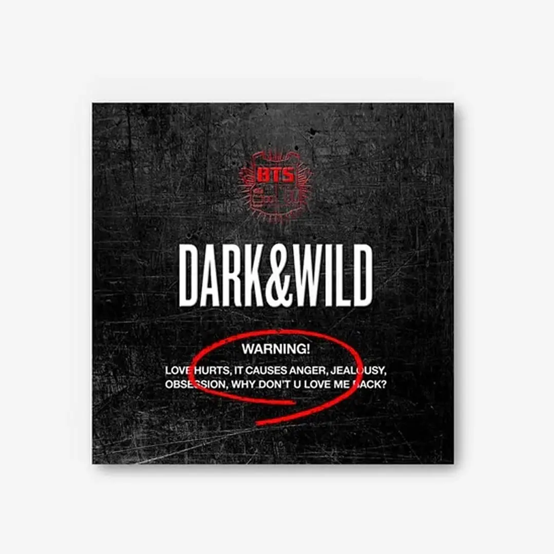 BTS - DARK & WILD  1