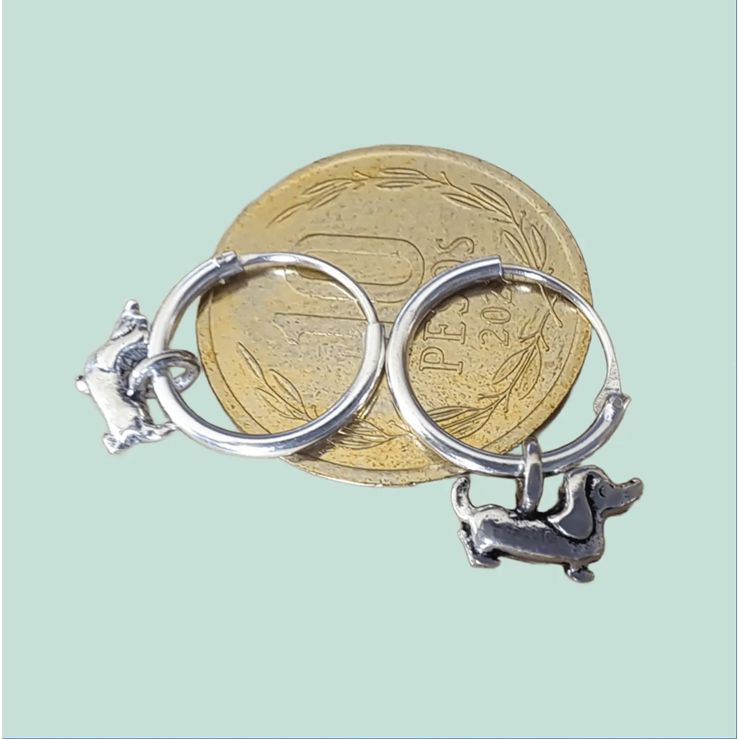 Aro Perro Salchicha 2