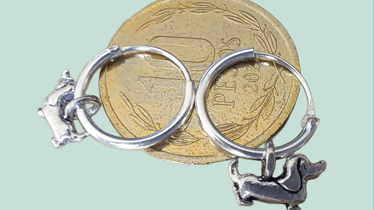 Aro Perro Salchicha 2