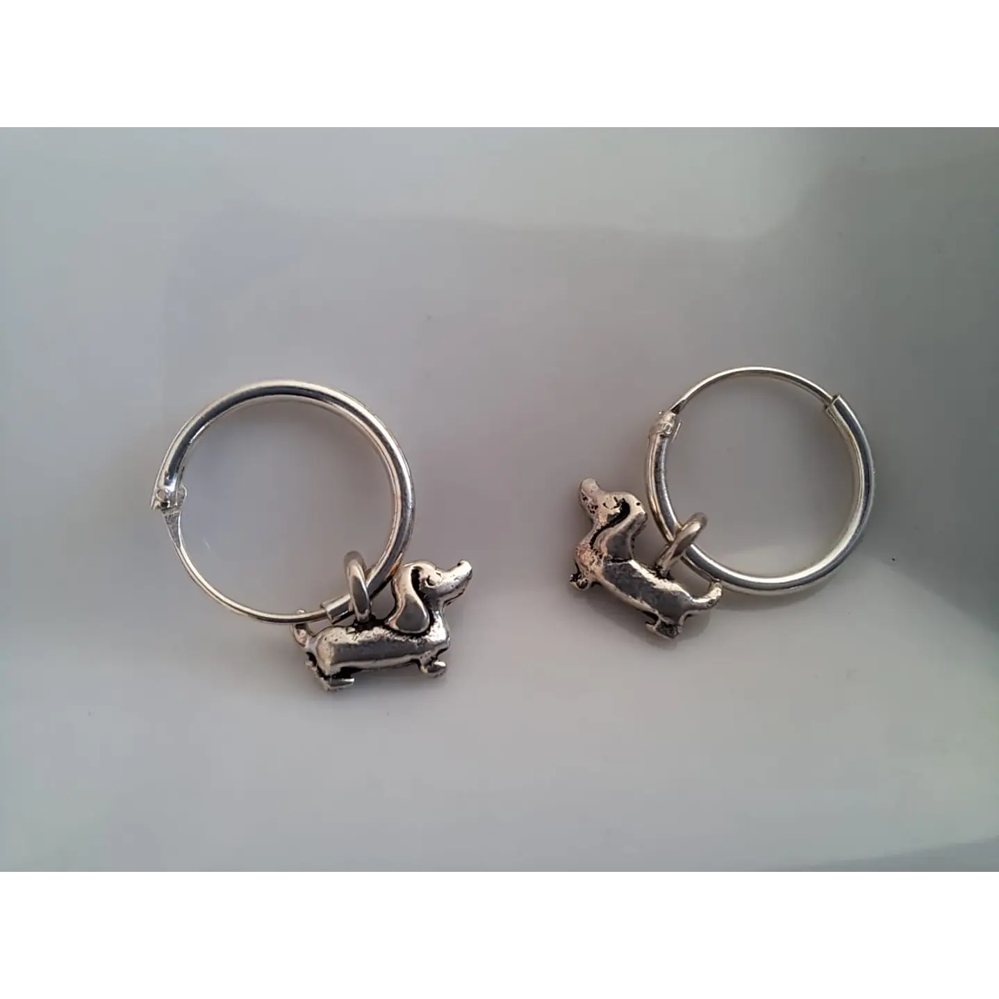 Aro Perro Salchicha 1