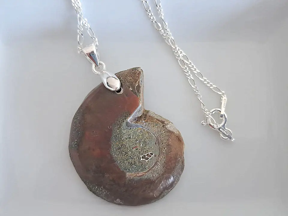 Collar con fósil de amonita en plata 925 2