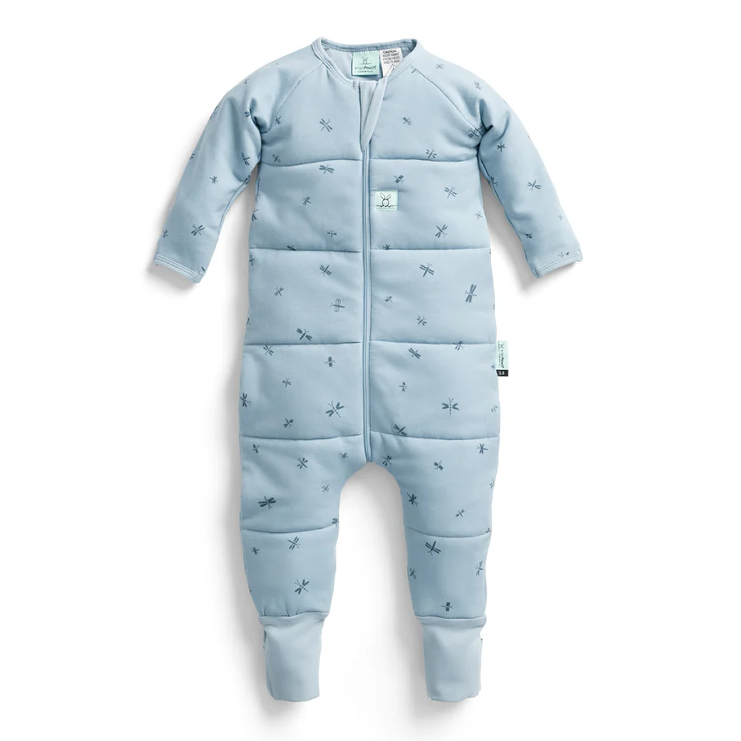 Sleep Onesie Dragonflies 2.5 TOG – ErgoPouch 1